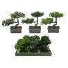 PLANTA ARTIFICIAL BONSAI 22 CM SURTIDO