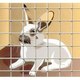 MALLA ELECTROSOLDADA 19X19X1,3 100 CM ROLLO 25 M