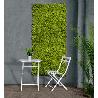 SETO JARDIN VERTICAL HELECHO VERDE 2017258 ROLLO 1X1MT