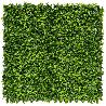 SETO JARDIN VERTICAL LAURO VERDE 2017254 ROLLO 1X1MT