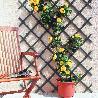 TRELLIS PLEGABLE 1X2MT ANTRACITA PVC