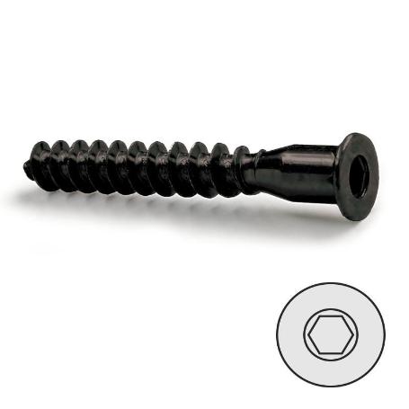 TORNILLO AUTORROSCANTE ROSCA MADERA, ALLEN PAVONADO 5-50 CABEZA PLANA CON PUNTA (CAJA 100)