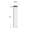 COLUMNA H710 Ø75 INOXIDABLE MATE PARA BASE PLANA