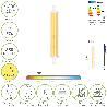 BOMBILLA LED PARA FOCOS ROSCA R7S. 7,7 WATT. EQUIVALE A 50 WATT. 850 LUMENES. LUZ CÁLIDA (3000º K.)