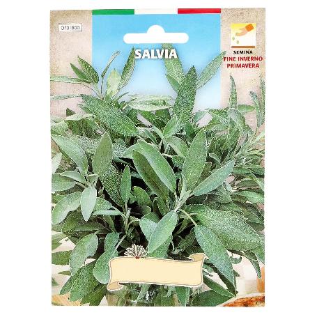 SEMILLAS AROMATICAS SALVIA (1 GRAMO) HORTICULTURA, HORTICOLA, SEMILLAS HUERTO.