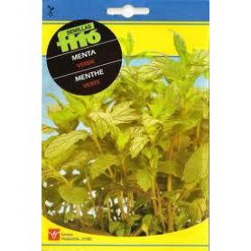 SEMILLAS FITO AROMATICAS MENTA VERDE 00653 (CAJA 10 UNIDADES)