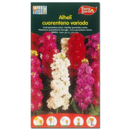 SEMILLAS FITO FLORES ALHELI CUARENTENO 00508 (CAJA 10 UNIDADES)