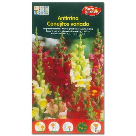 SEMILLAS FITO FLORES ANTIRRINO CONEJITOS VARIADOS 00505 (CAJA 10 UNIDADES)