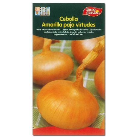 SEMILLAS FITO HORTICOLAS CEBOLLA AMARILLA PAJA VIRTUDES 00044 (CAJA 10 UNIDADES)