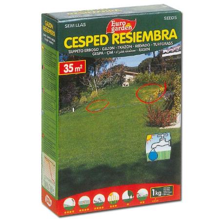 SEMILLAS FITO CESPED RESIEMBRA EUROGARDEN 1KG 04457