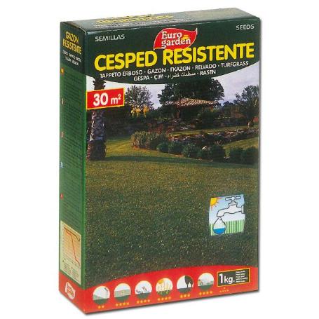 SEMILLAS FITO CESPED RESISTENTE EUROGARDEN 1KG 04455