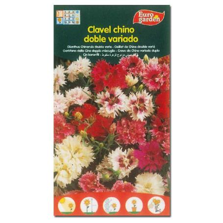 SEMILLAS FITO FLORES CLAVEL CHINO DOBLE VARIADO 00542 (CAJA 10 UNIDADES)