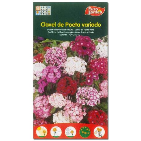 SEMILLAS FITO FLORES CLAVEL DE POETA VARIADO 00544 (CAJA 10 UNIDADES)