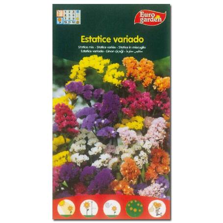 SEMILLAS FITO FLORES ESTATICE VARIADA 00630 (CAJA 10 UNIDADES)