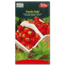 SEMILLAS FITO HORTICOLAS FRESON RUBI 01697 (CAJA 10 UNIDADES)