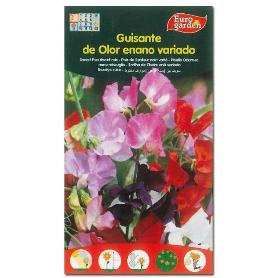 SEMILLAS FITO FLORES GUISANTE DE OLOR ENANO VARIADO 00651 (CAJA 10 UNIDADES)