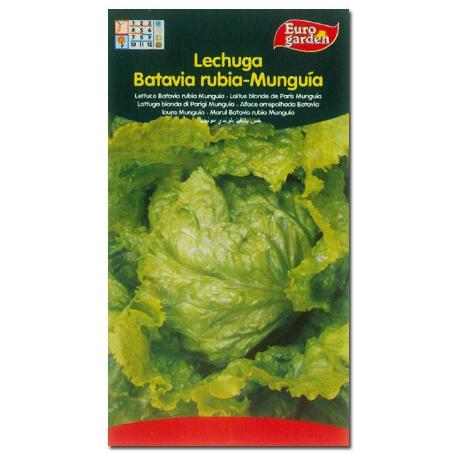 SEMILLAS FITO HORTICOLAS LECHUGA BAT. RUBIA MUNGUIA 00206 (CAJA 10 UNIDADES)