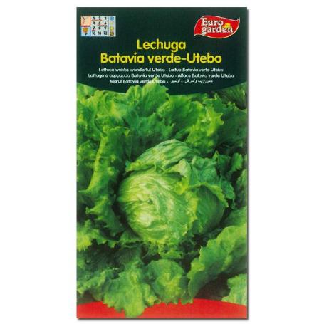 SEMILLAS FITO HORTICOLAS LECHUGA BAT. VERDE UTEBO 00207 (CAJA 10 UNIDADES)