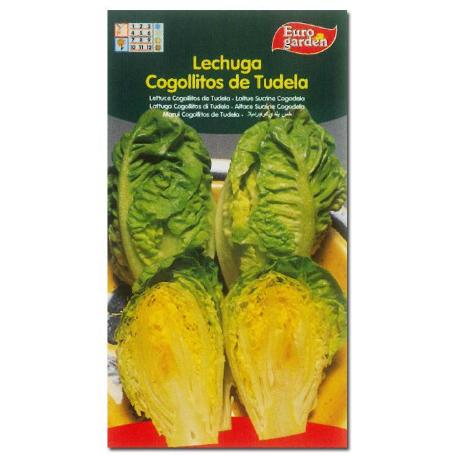 SEMILLAS FITO HORTICOLAS LECHUGA  COGOLLITOS DE TUDELA 02003 (CAJA 10 UNIDADES)