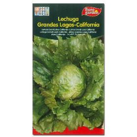 SEMILLAS FITO HORTICOLAS LECHUGA  G. LAGOS CALIFORNIA 00209 (CAJA 10 UNIDADES)