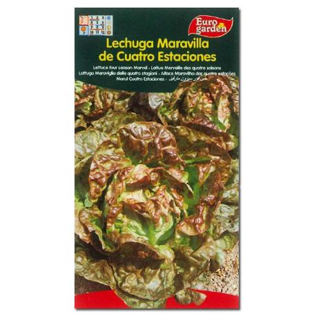 SEMILLAS FITO HORTICOLAS LECHUGA MARAVILLA 4 ESTACIONES 00211 (CAJA 10 UNIDADES)