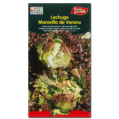 SEMILLAS FITO HORTICOLAS LECHUGA MARAVILLA DE VERANO 00208 (CAJA 10 UNIDADES)