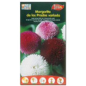 SEMILLAS FITO FLORES MARGARITA DE LOS PRADOS VARIADA 00574 (CAJA 10 UNIDADES)