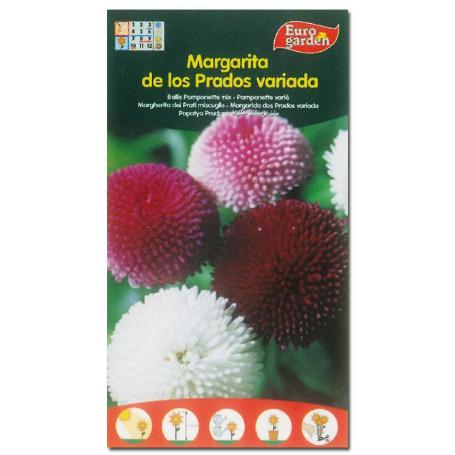 SEMILLAS FITO FLORES MARGARITA DE LOS PRADOS VARIADA 00574 (CAJA 10 UNIDADES)