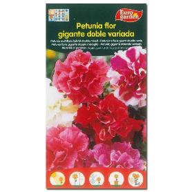 SEMILLAS FITO FLORES PETUNIA FLOR GIGANTE DOBLE VARIADA 00633 (CAJA 10 UNIDADES)