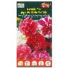 SEMILLAS FITO FLORES PETUNIA FLOR GIGANTE DOBLE VARIADA 00633 (CAJA 10 UNIDADES)