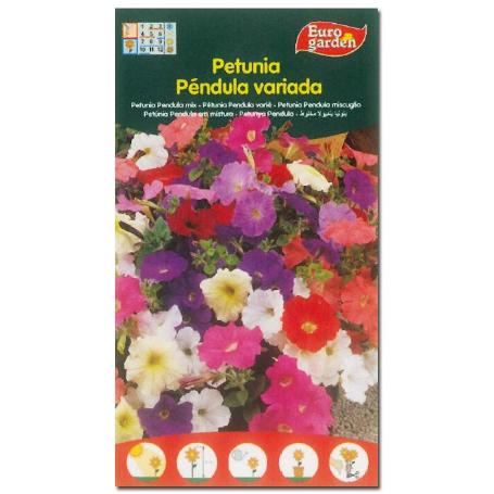 SEMILLAS FITO FLORES PETUNIA PENDULA VARIADA 00677 (CAJA 10 UNIDADES)