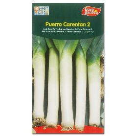 SEMILLAS FITO HORTICOLAS PUERRO VERDE DE CARENTAN 2 00261 (CAJA 10 UNIDADES)