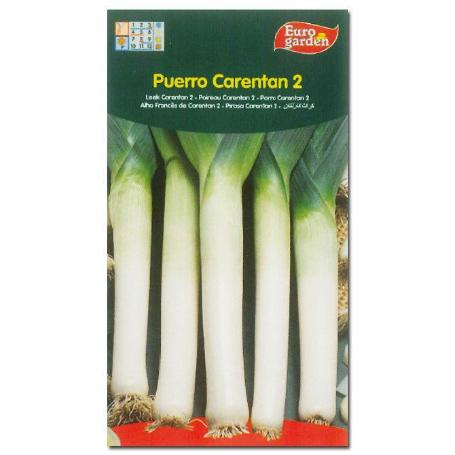 SEMILLAS FITO HORTICOLAS PUERRO VERDE DE CARENTAN 2 00261 (CAJA 10 UNIDADES)