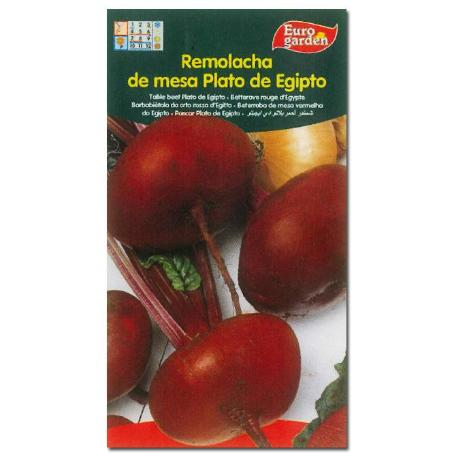 SEMILLAS FITO HORTICOLAS REMOLACHA DE MESA PLATO DE EGIPTO 00276 (CAJA 10 UNIDADES)