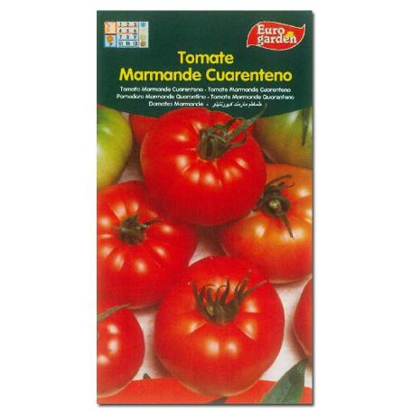 SEMILLAS FITO HORTICOLAS TOMATE CUARENTENO MARMANDE 00290 (CAJA 10 UNIDADES)