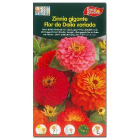 SEMILLAS FITO FLORES ZINNIA GIGANTE FLOR DE DALIA VARIADA 00607 (CAJA 10 UNIDADES)