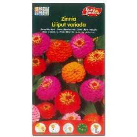 SEMILLAS FITO FLORES ZINNIA LILIPUT VARIADA 00608 (CAJA 10 UNIDADES)