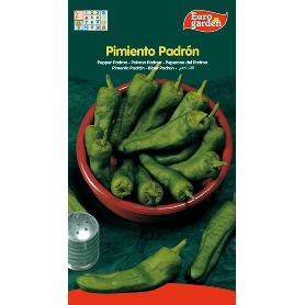 SEMILLAS FITO HORTICOLAS PIMIENTO DE PADRON 05174 (CAJA 10 UNIDADES)