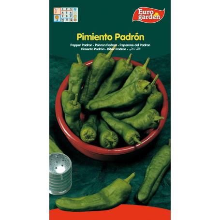 SEMILLAS FITO HORTICOLAS PIMIENTO DE PADRON 05174 (CAJA 10 UNIDADES)