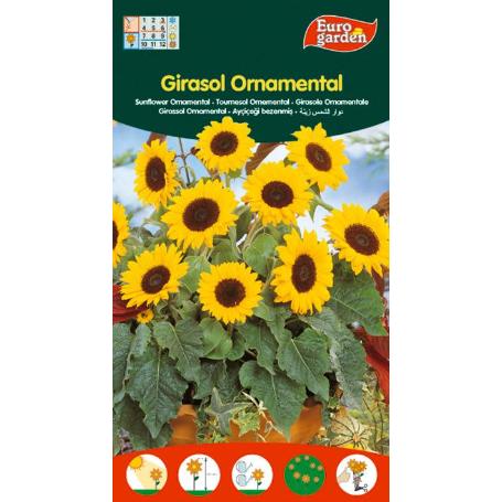 SEMILLAS FITO FLORES GIRASOL ORNAMENTAL 04333 (CAJA 10 UNIDADES)