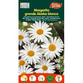 SEMILLAS FITO FLORES MARGARITA GRANDE DE ALASKA BLANCA 00577 (CAJA 10 UNIDADES)