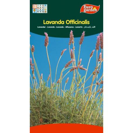 SEMILLAS FITO AROMATICAS LAVANDA OFFICINALIS 02610 (CAJA 10 UNIDADES)