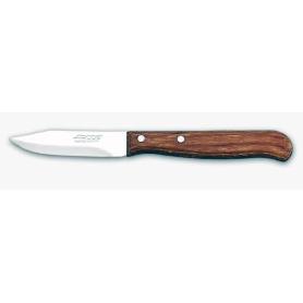 ARCOS M-MAD.100101 CUCHILLO LATINA MONDADOR H.INOX  65 MM.DISP