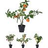 PLANTA ARTIFICIAL FRUTA 50 CM SURTIDA