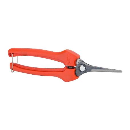 TIJERA VENDIMIA P-128-19 RECTA