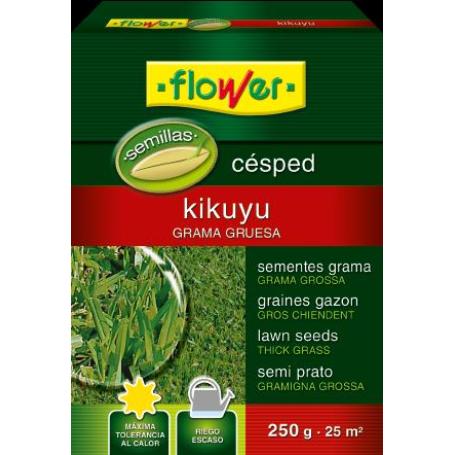 SEMILLAS CESPED KIKUYU 250 GR 1-10793 FLOWER