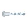 TORNILLO TIRAFONDO 571 ZINC. 10X30 C-100