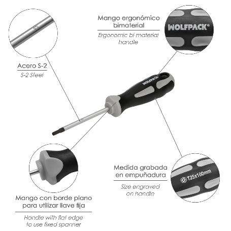 DESTORNILLADOR TORX T25 X 100 MM