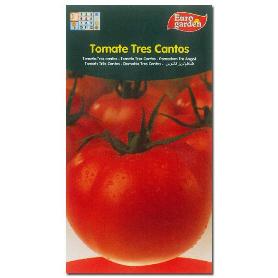 SEMILLAS FITO HORTICOLAS TOMATE TRES CANTOS 00293 (CAJA 10 UNIDADES)