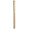 PICARD-0099021-04-MANGO DE MADERA DE FRESNO (PARA RUTHE MALLO 4 KG 3040030119)